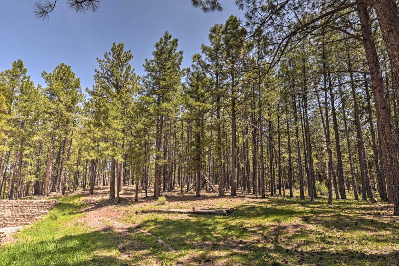 Angel Fire All-Season Escape Walk To Ski And Trails Εξωτερικό φωτογραφία
